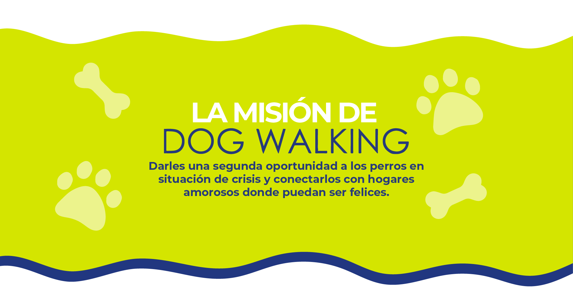 MISION DOG WALKING