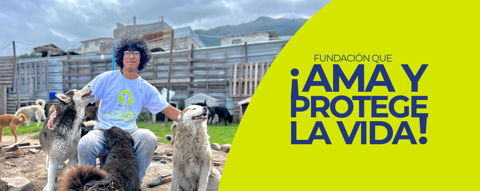Portada Dog Walking