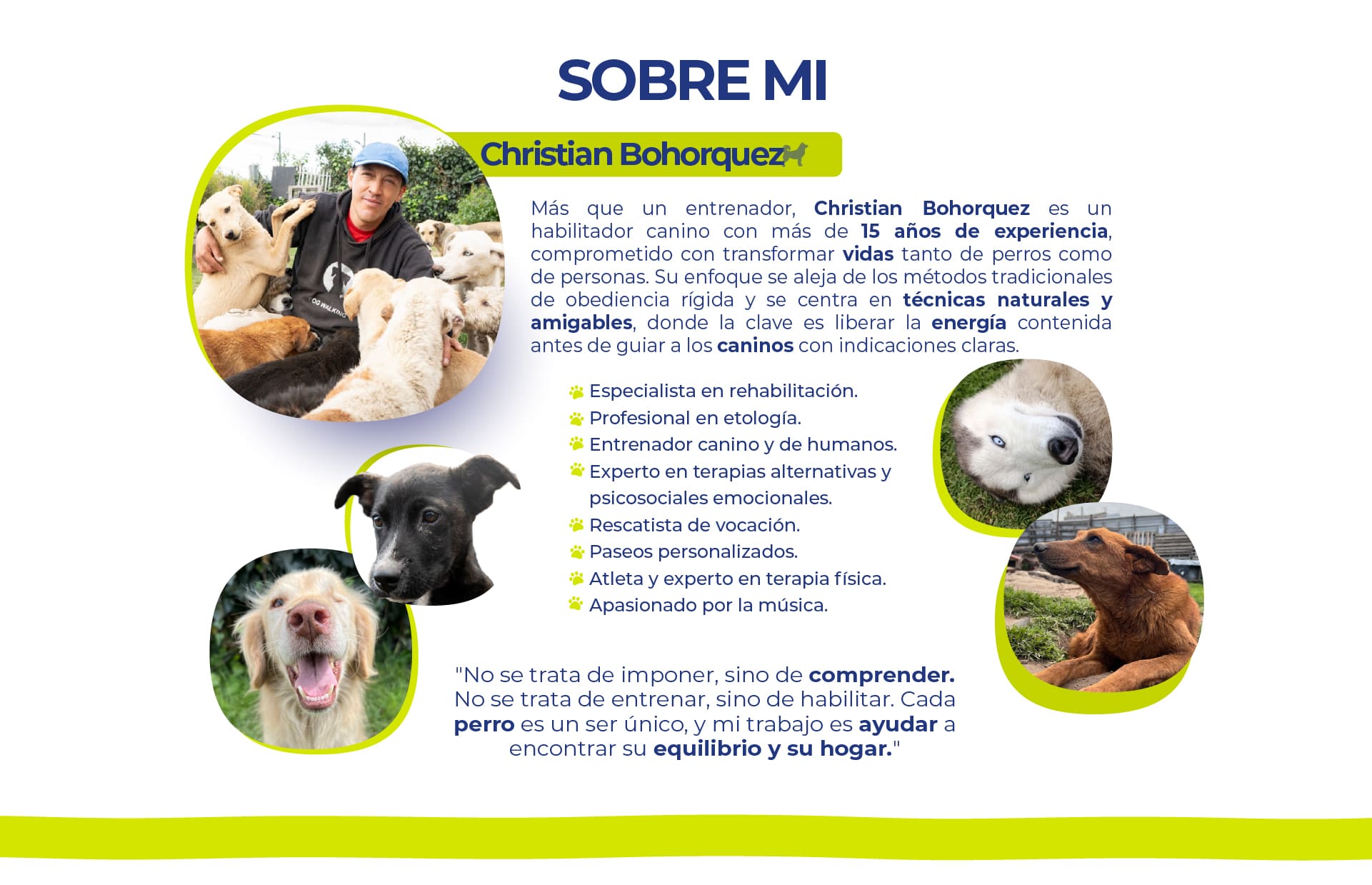 Paseo de perrito Dog Walking