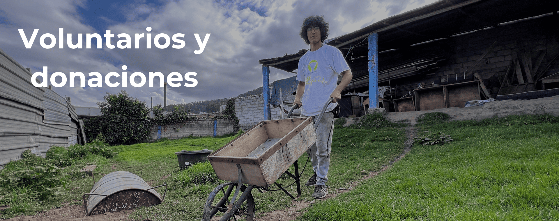 Voluntario y donaciones Dog Walking